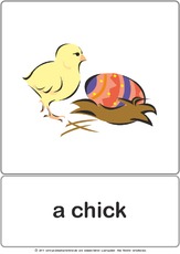 Bildkarte - chick.pdf